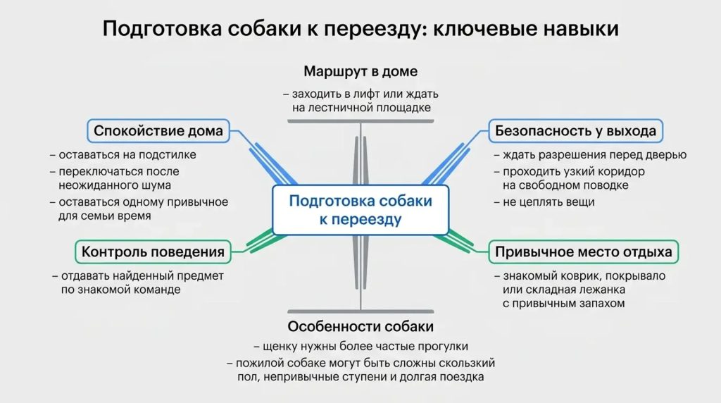 Подготовка собики к переезду: ключевые навыки